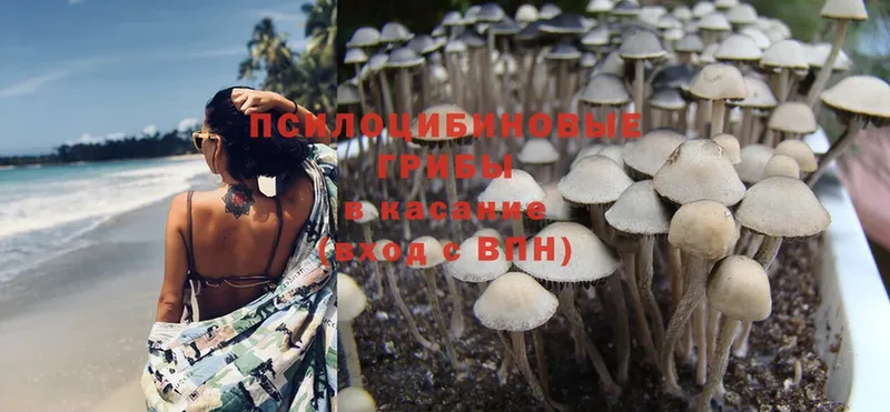 Галлюциногенные грибы Cubensis  МЕГА вход  Златоуст 